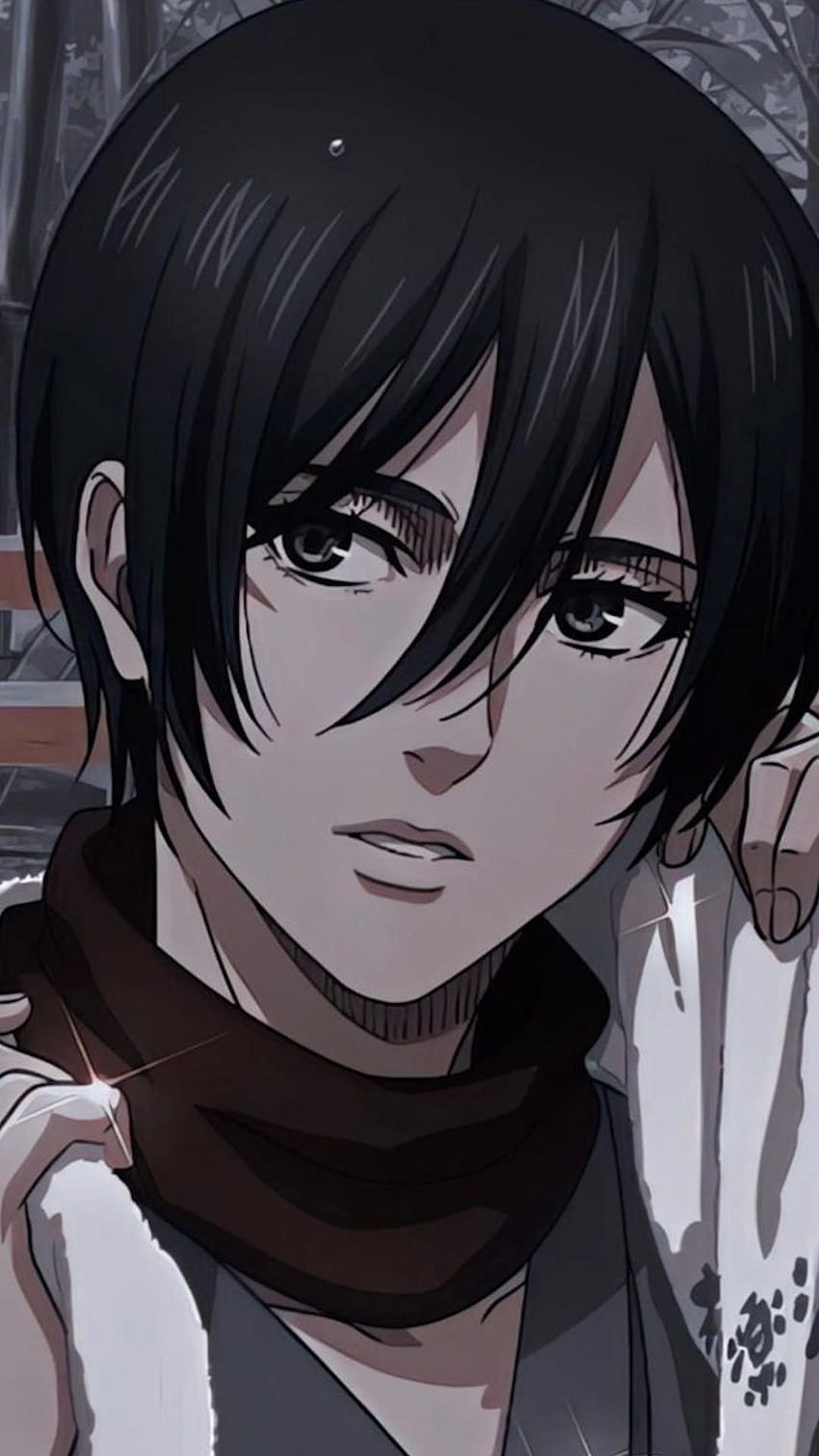 Mikasa Ackerman Powers Explained Reveal Her Super Soldier Strength